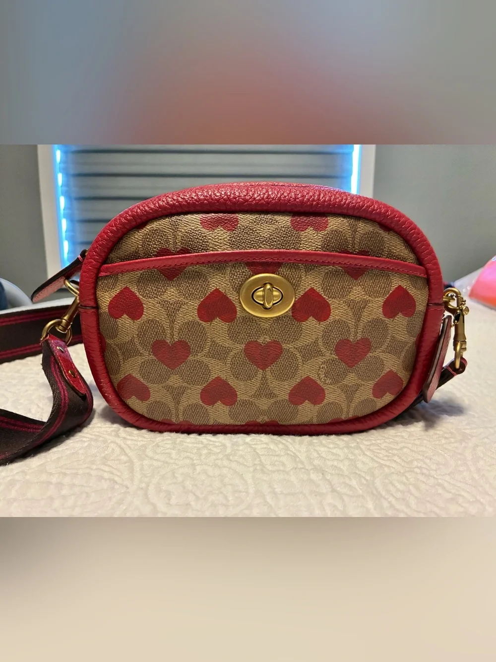 Coach Camera Signature Red Heart Print Crossbody Bag
